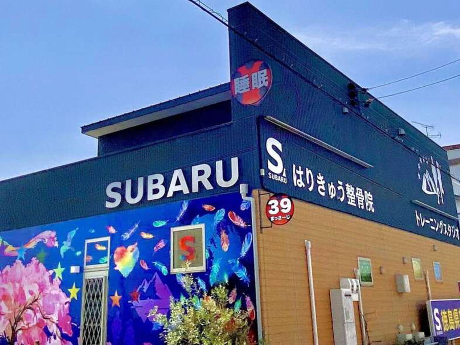 徳島県阿南市の鍼灸整骨院、SUBARU（スバル）-耳つぼダイエット、睡眠改善、自律神経改善-