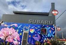 徳島県阿南市の鍼灸整骨院、SUBARU（スバル）-耳つぼダイエット、睡眠改善、自律神経改善-