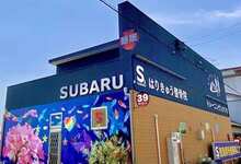 徳島県阿南市の鍼灸整骨院、SUBARU（スバル）-耳つぼダイエット、睡眠改善、自律神経改善-